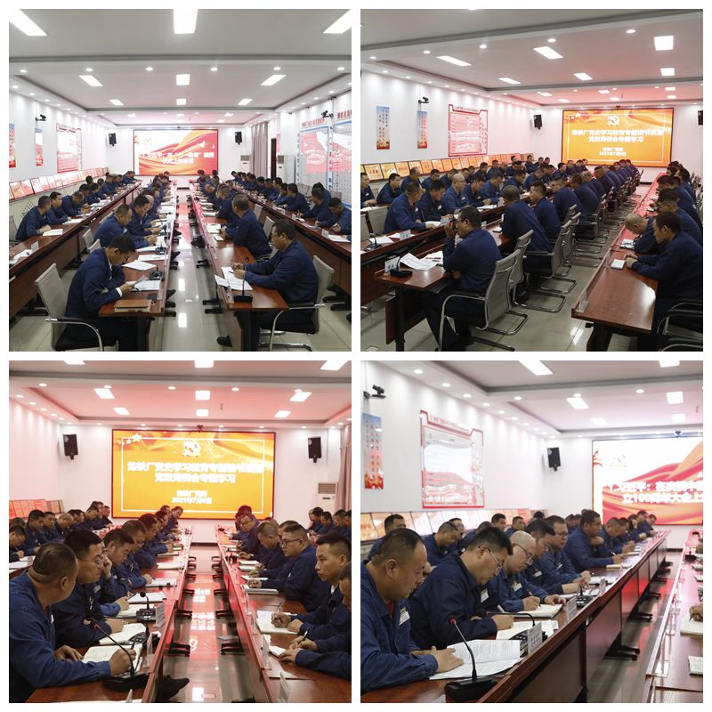 7月6日，煉鐵廠黨委利用視頻會(huì)形式組織黨委及各支部召開(kāi)黨史學(xué)習(xí)教育專題讀書(shū)班